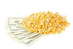Corn Dollars