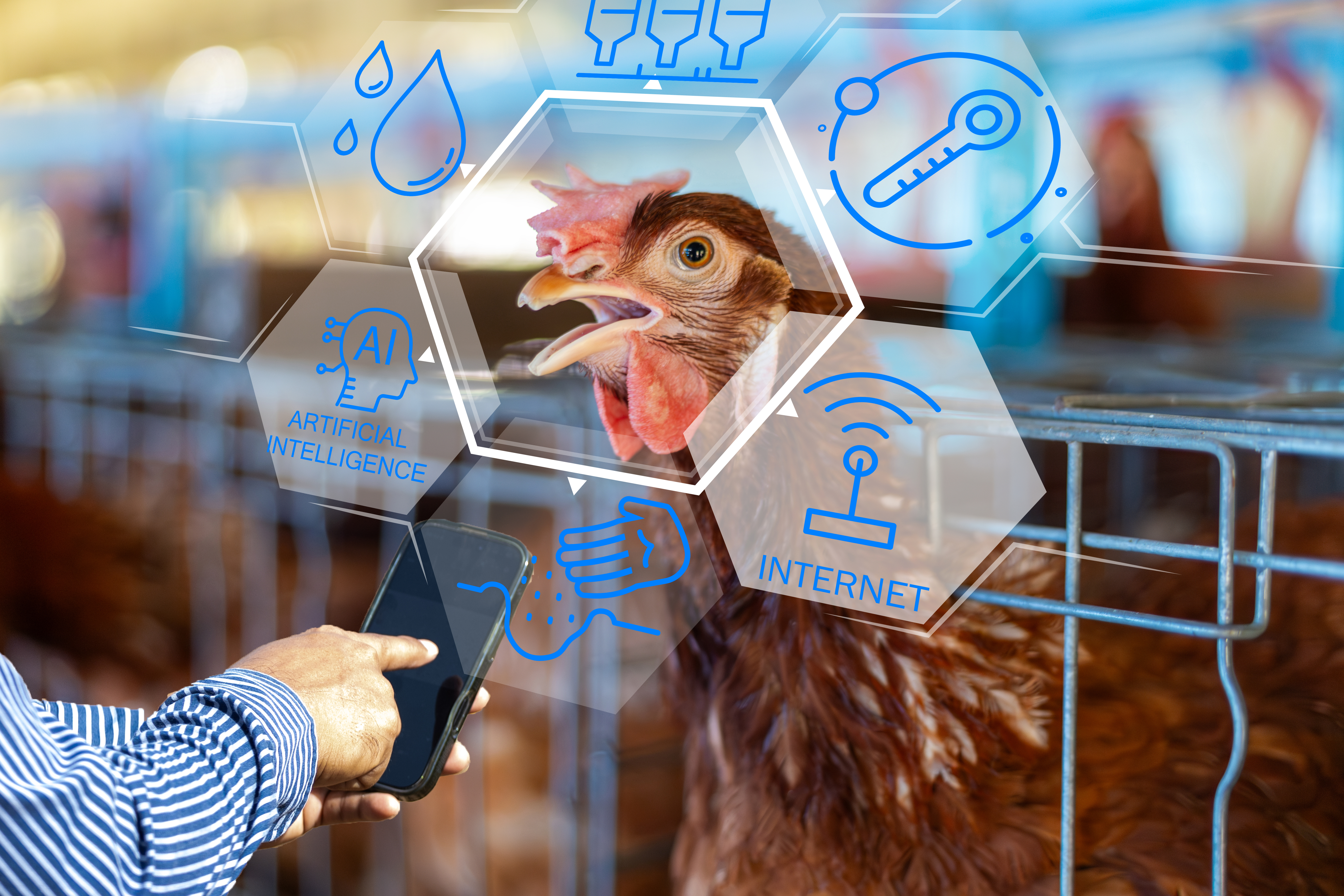 Poultry Artificial Intelligence