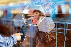 Poultry Artificial Intelligence