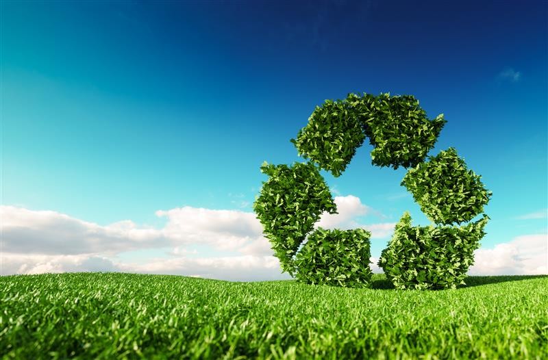 Sustainbility Photo