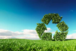 Sustainbility Photo