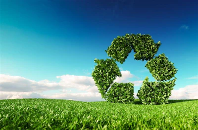 Sustainbility Photo