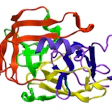 Trypsin