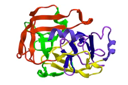 Trypsin