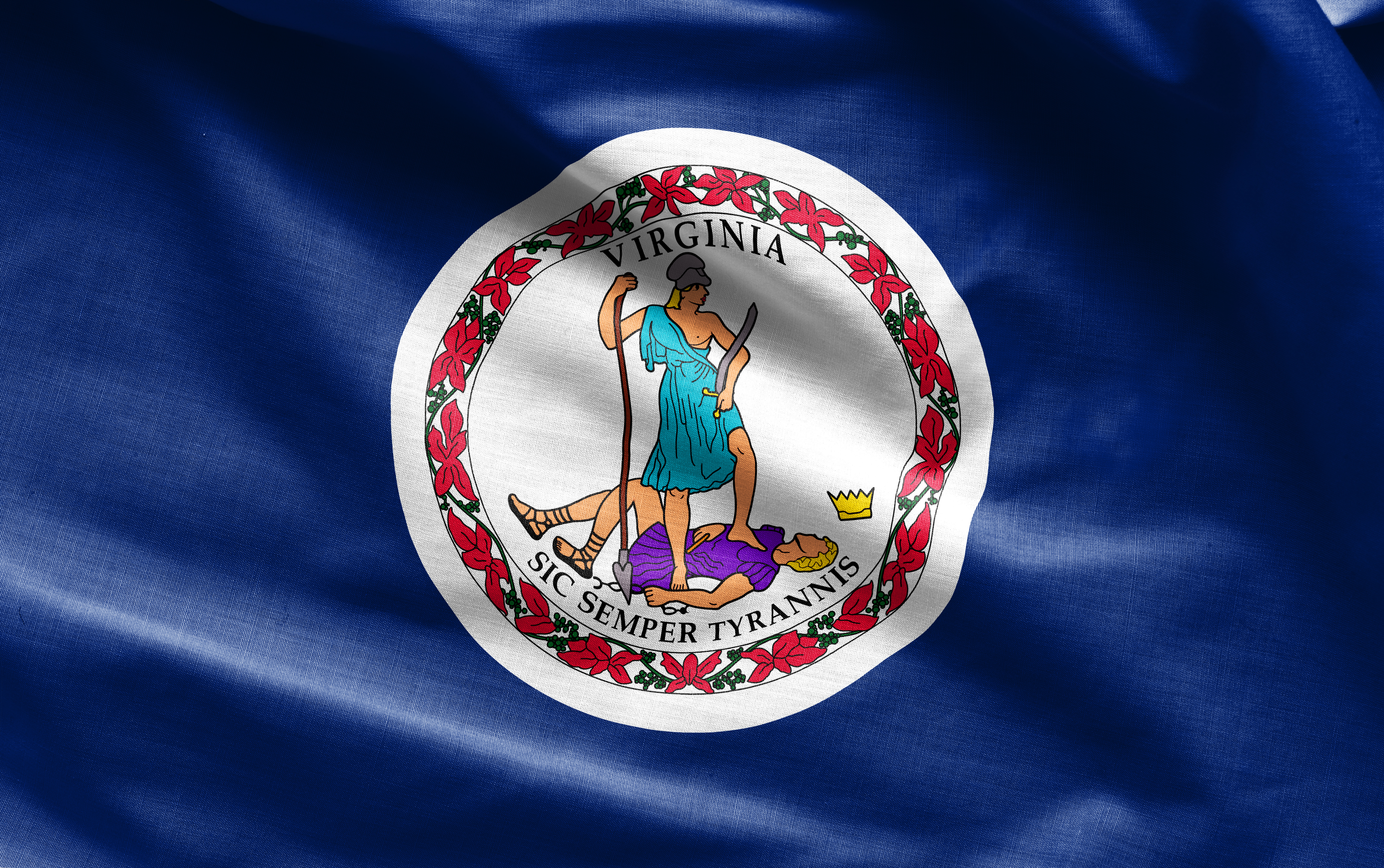 Virginia Flag