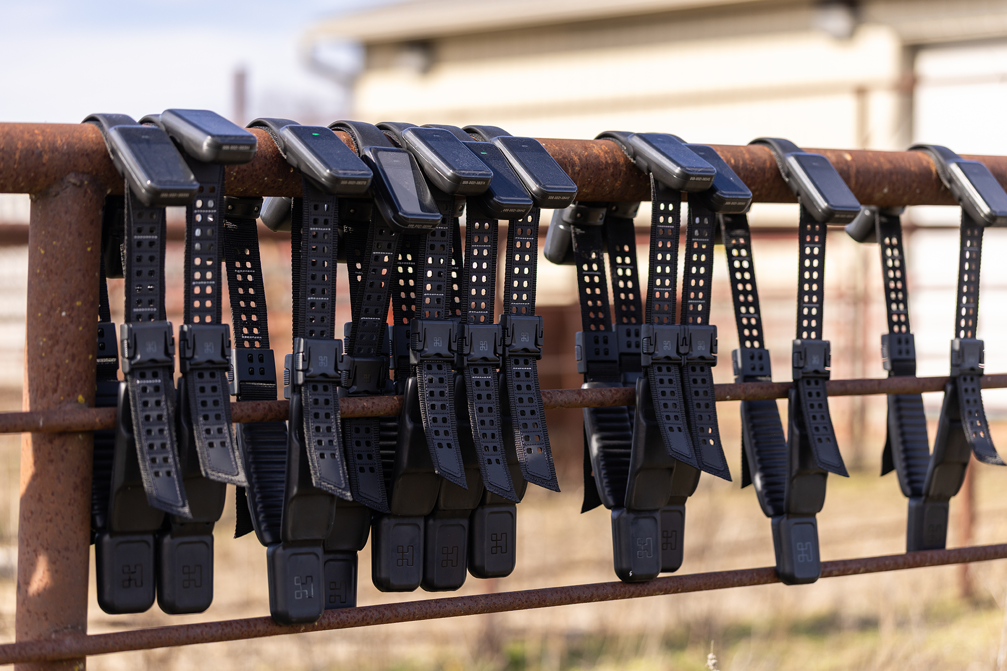The grant involves collaring the cattle of 200 livestock producers in Missouri and Nebraska who collectively manage approximately 150,000 acres.