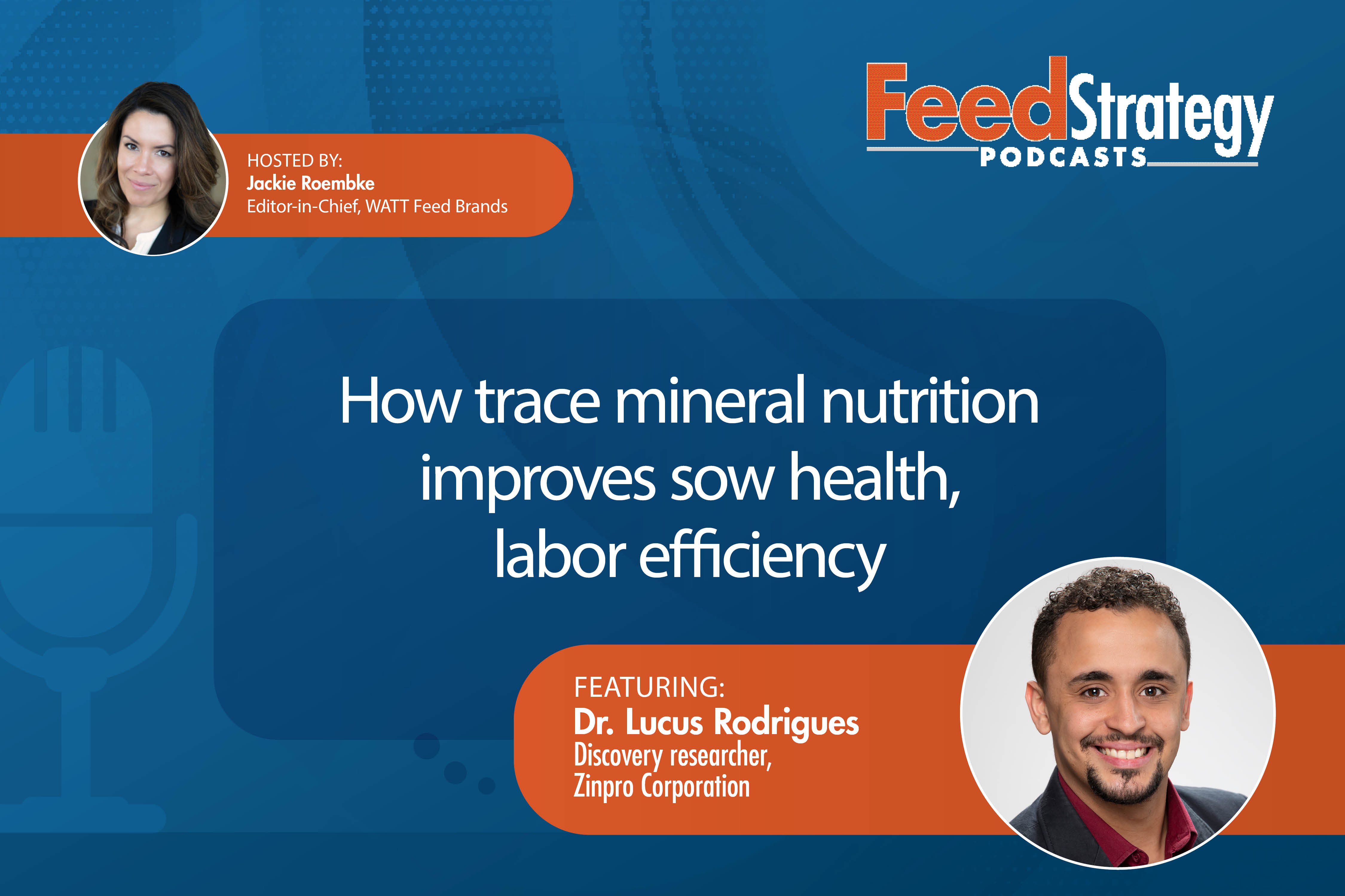 How trace mineral nutrition is improving sow health, labor efficiency [PODCAST]
