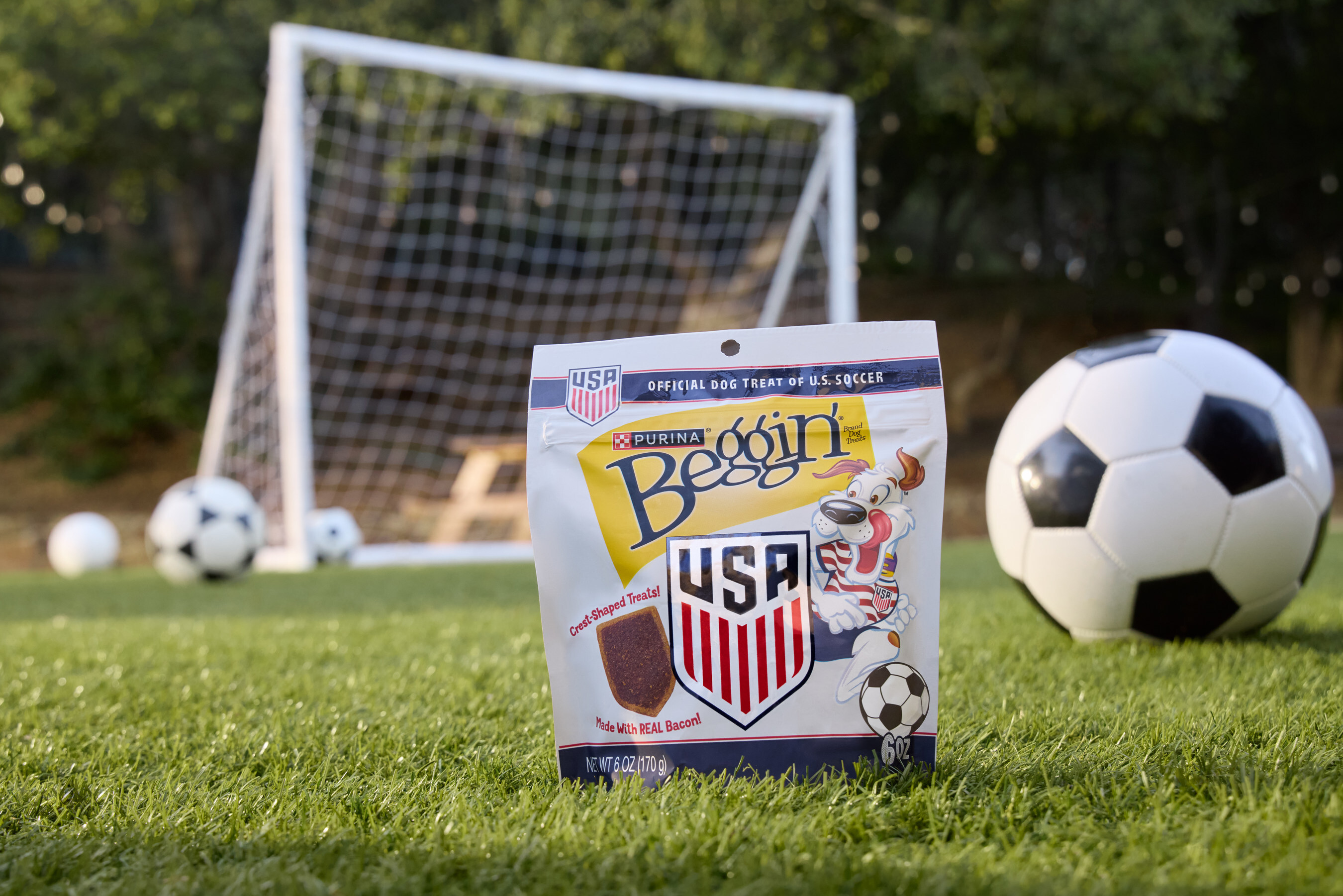 Purina Beggin' USA Soccer dog treat package on grass with soccer balls and goal in background