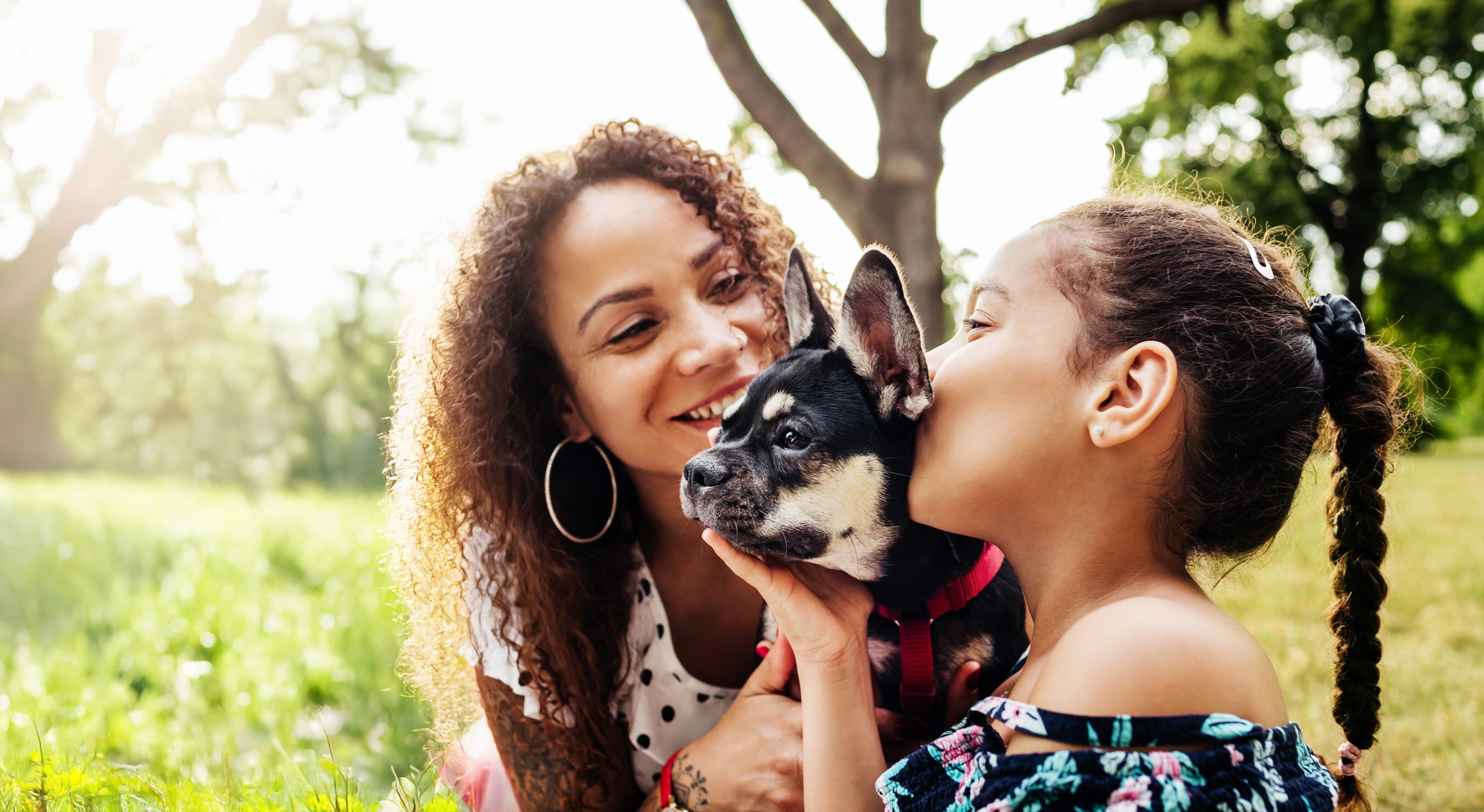 Two smiling people kissing a black and white dog in a sunny park with green grass and trees