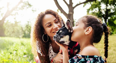 Two smiling people kissing a black and white dog in a sunny park with green grass and trees