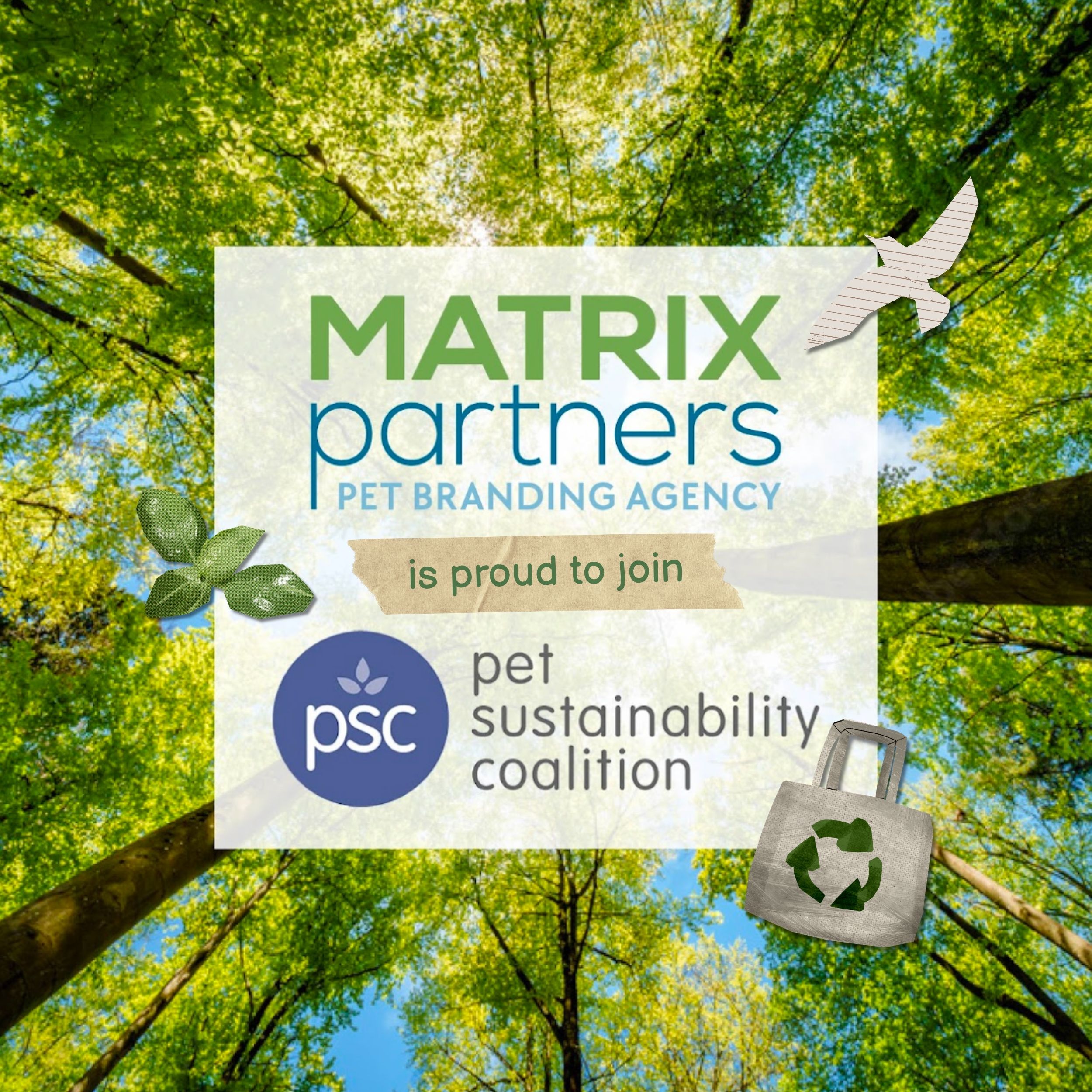 Matrix Partners Pet Branding Agency joins Pet Sustainability Coalition announcement with forest canopy background and eco-friendly design elements