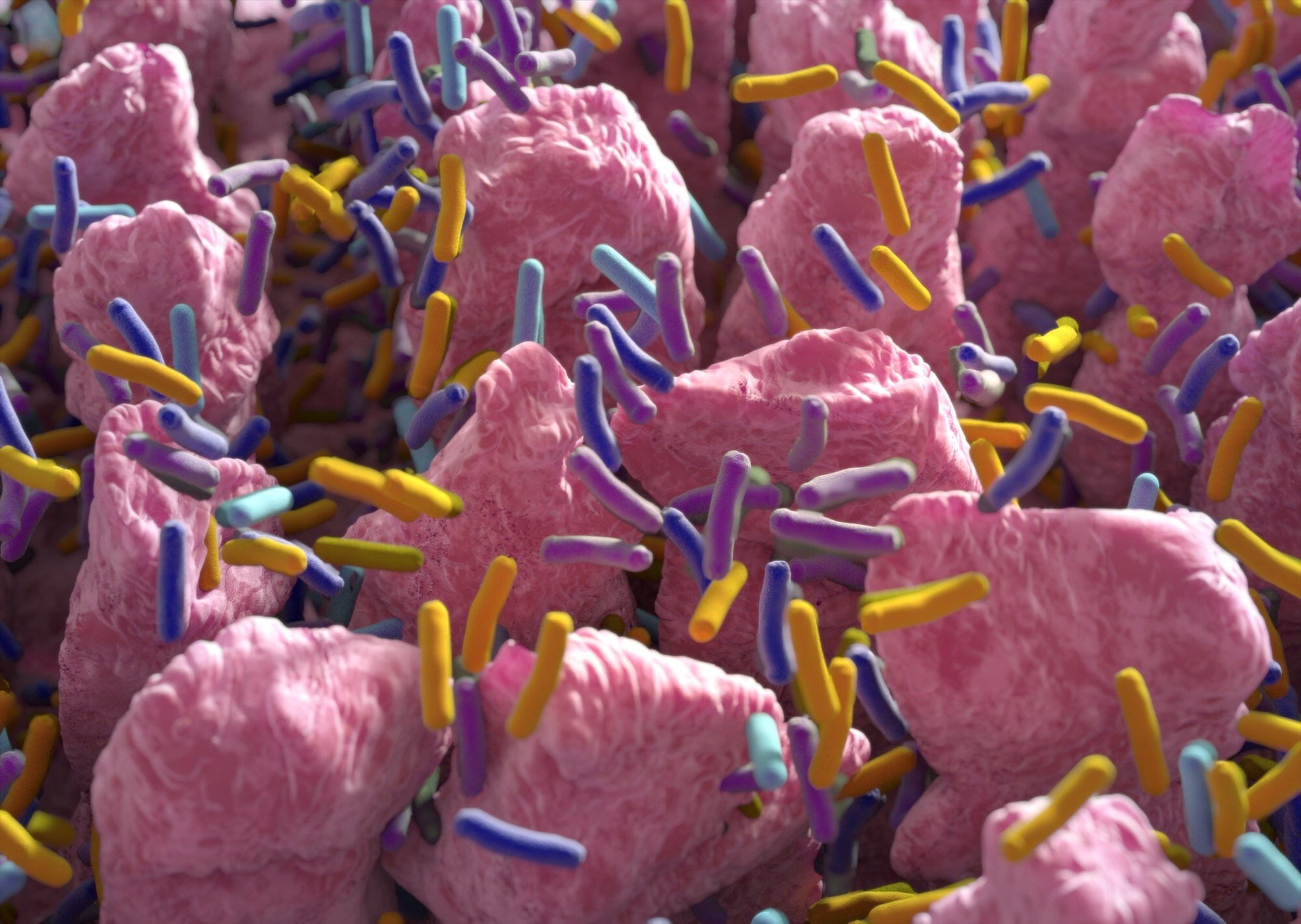 Microscopic view of pink cells with colorful rod-shaped bacteria or cellular structures in blue, purple, and yellow