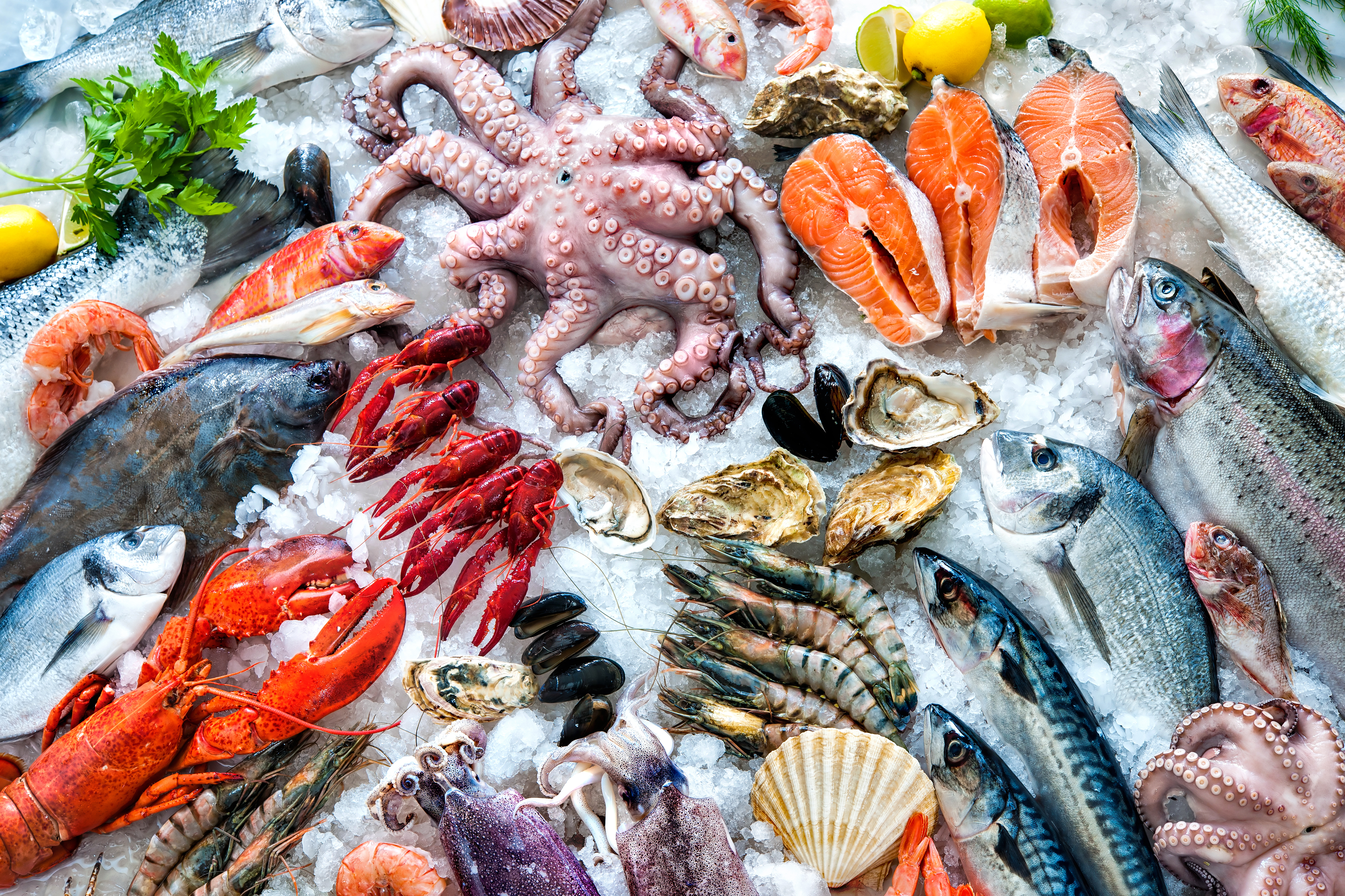 Seafood Market