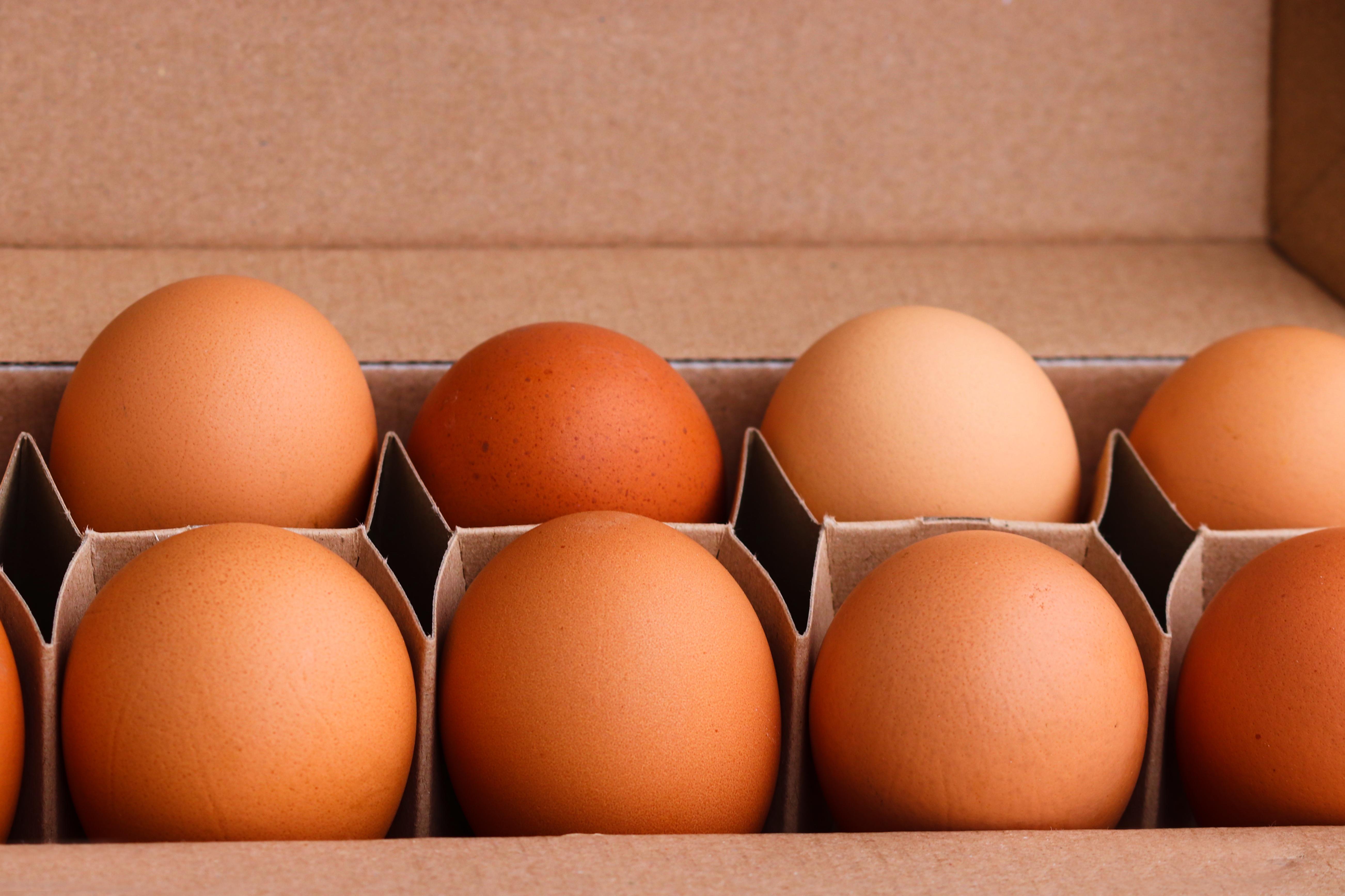 Sustainable Egg Box Eggs
