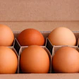 Sustainable Egg Box Eggs