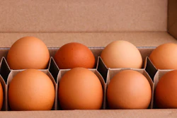 Sustainable Egg Box Eggs