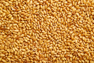 Wheat Grains (3)