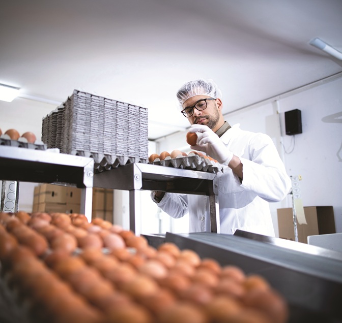 To support extra weeks of productivity, long-laying hens need a strategic approach to nutrition going beyond the typical three-phase diet.