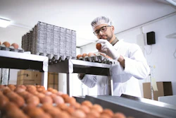 To support extra weeks of productivity, long-laying hens need a strategic approach to nutrition going beyond the typical three-phase diet.