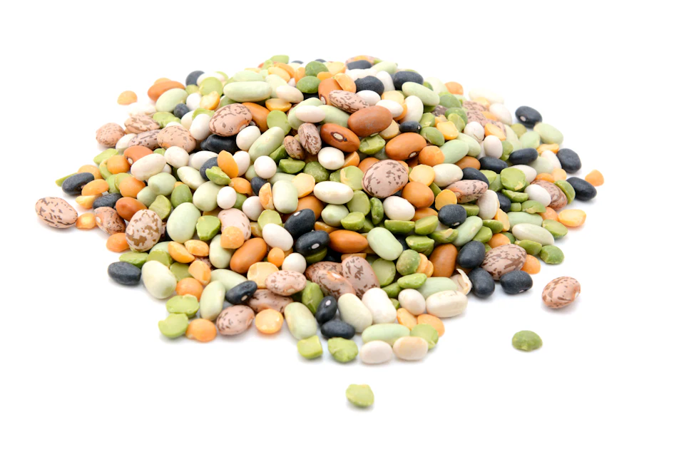 Scottish farmers urged to grow more feed protein crops