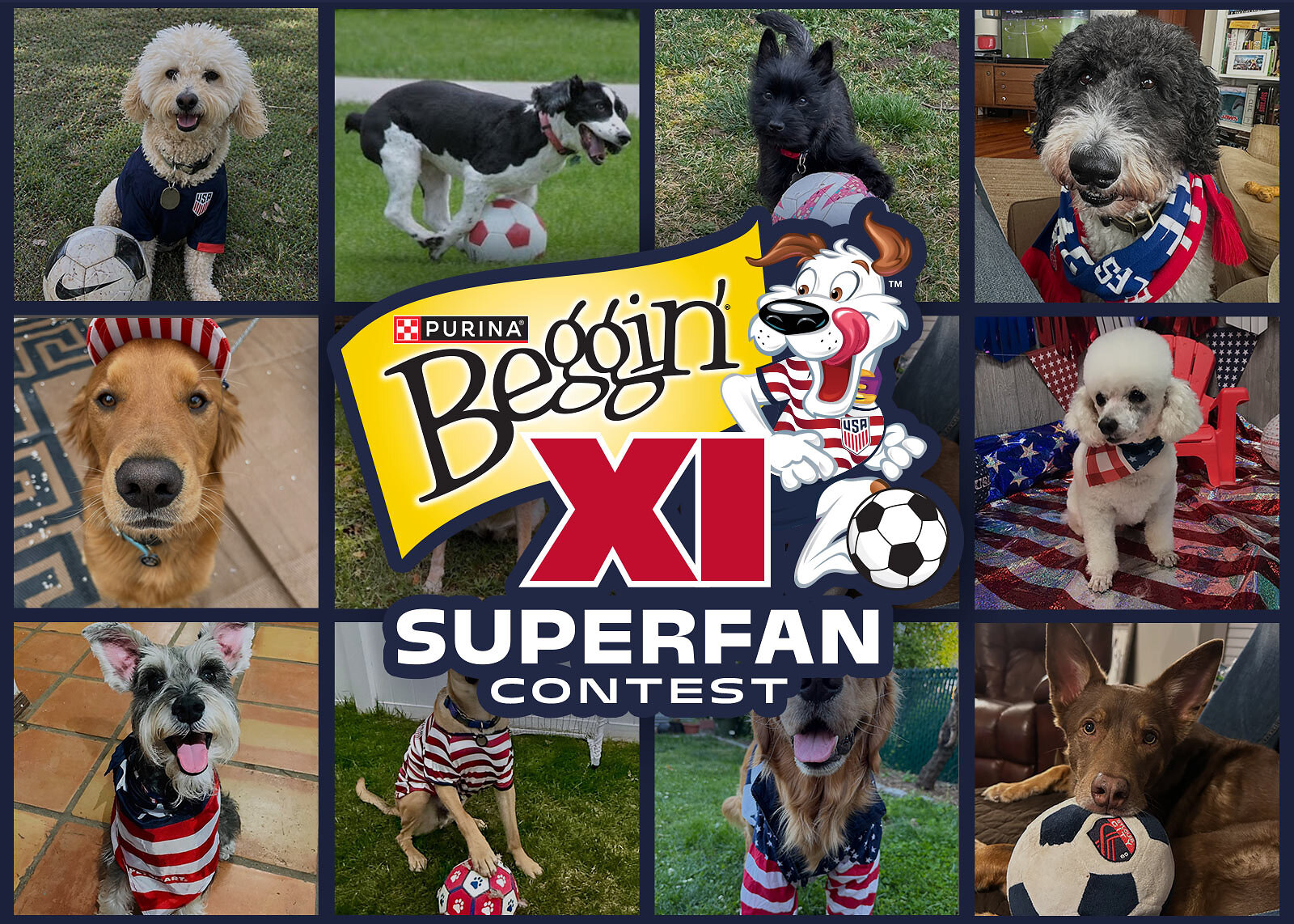 Purina Beggin' XL Superbean Contest logo with nine dogs in patriotic and casual wear