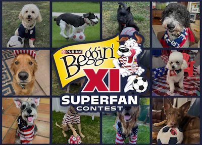 Purina Beggin' XL Superbean Contest logo with nine dogs in patriotic and casual wear