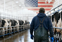 Farmer walking through dairy barn with cattle and American flag overlay