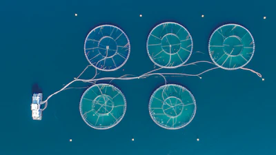 Norway Aquaculture Aquafeed