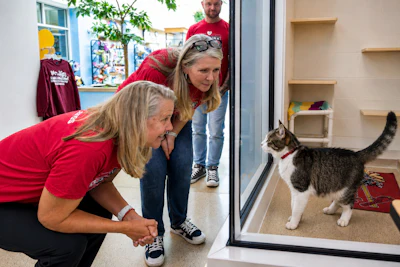 Adults and child in red shirts interact with a tabby and white cat through a glass door at an animal shelter.