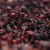 Red Seaweed