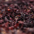 Red Seaweed
