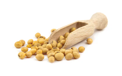The carbon footprint of a soybean should be focused on the inputs needed to plant, grow, harvest and transport the bean, not how long ago the field it was grown in had trees.