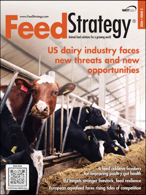 Strategy Feed Magazine | Feed Strategy