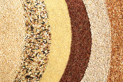 Grains