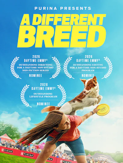 Purina presents 'A Different Breed' campaign featuring a woman playing frisbee with a dog at an outdoor event, with 2026 Daytime Emmy nominations.