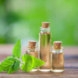 Bigstock Catmint Essential Oil In Beau 213258466