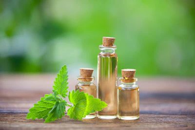 Bigstock Catmint Essential Oil In Beau 213258466