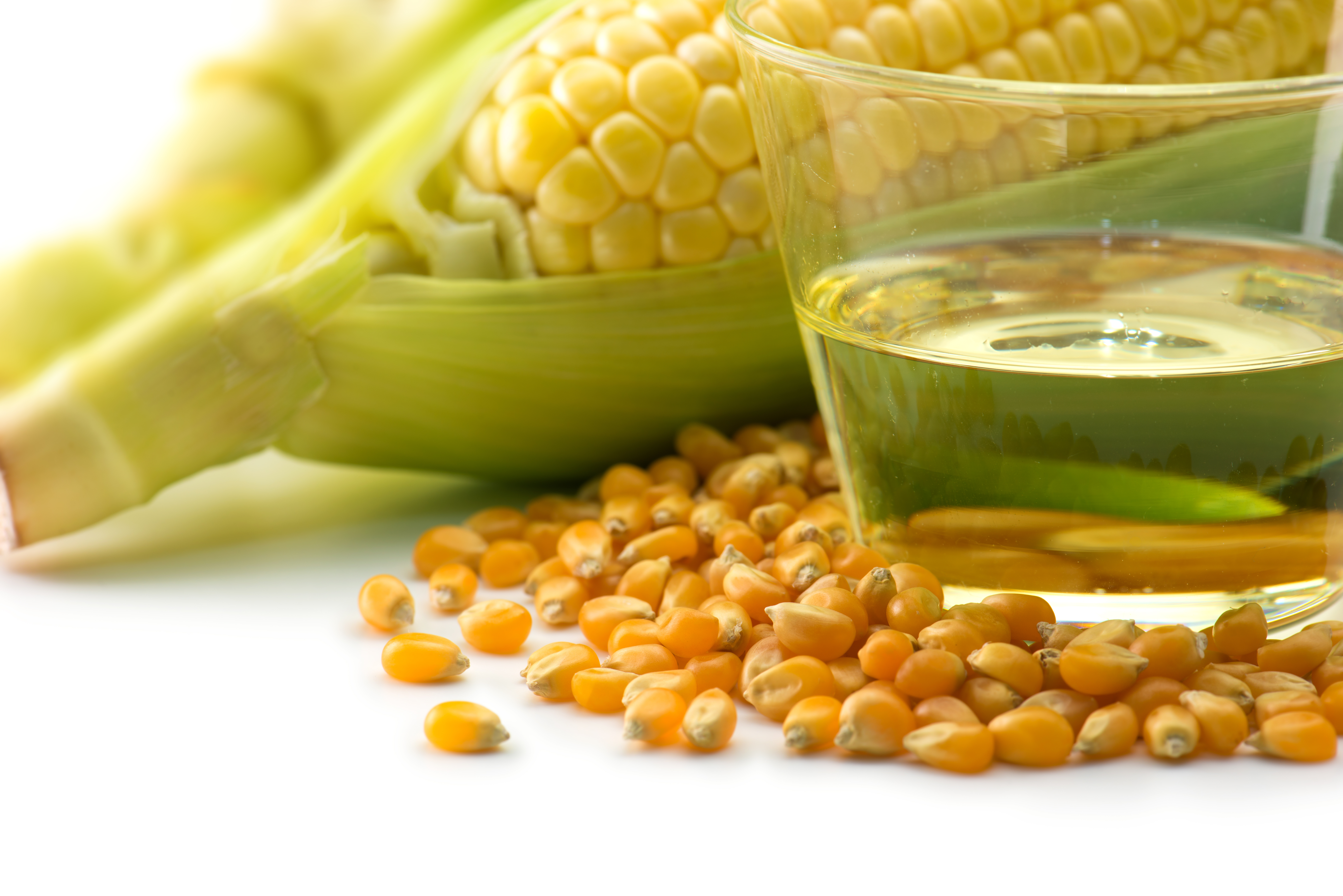 Corn Kernels Oil
