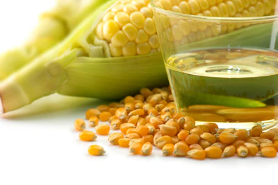 Corn Kernels Oil