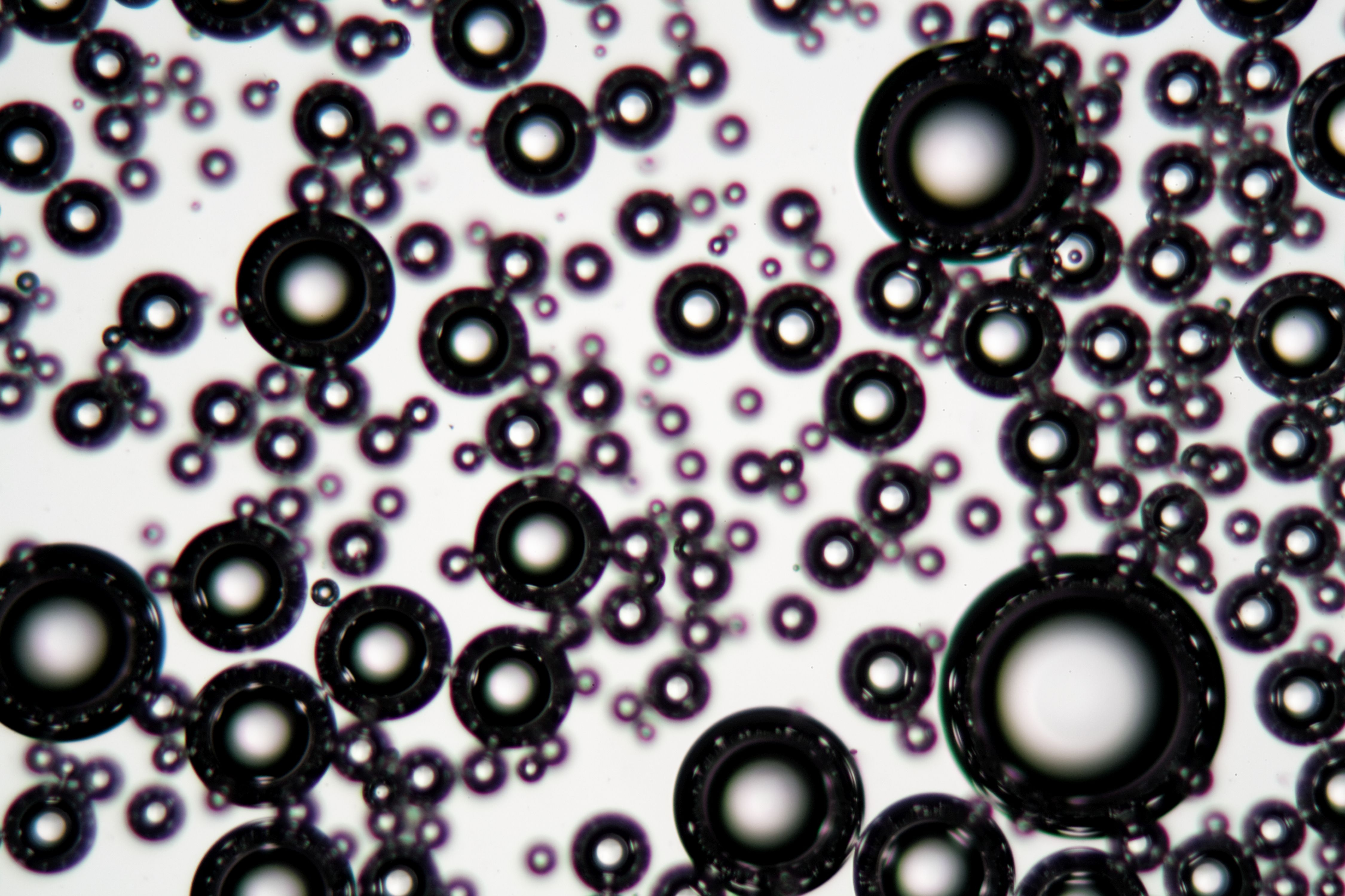 Emulsifier
