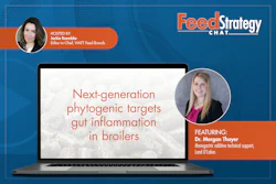 Feed Strategy Chat webinar featuring Dr. Morgan Thayer on phytogenic targets for broiler gut inflammation