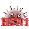 H5 N1