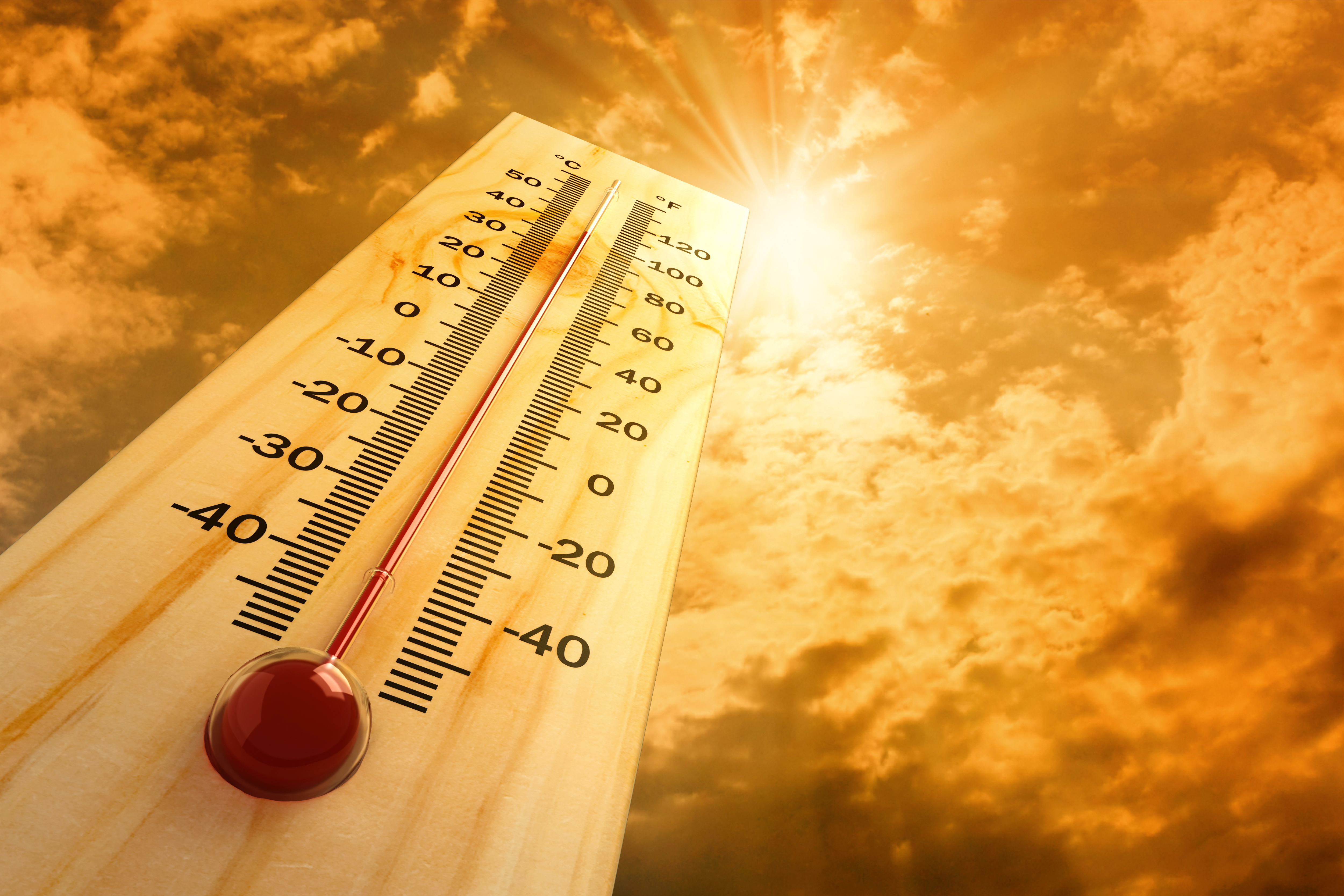 Bigstock Thermometer 28738382