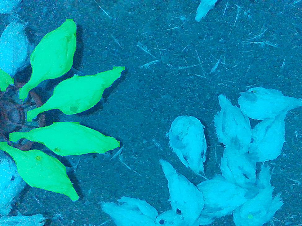 Isolating Low Rez