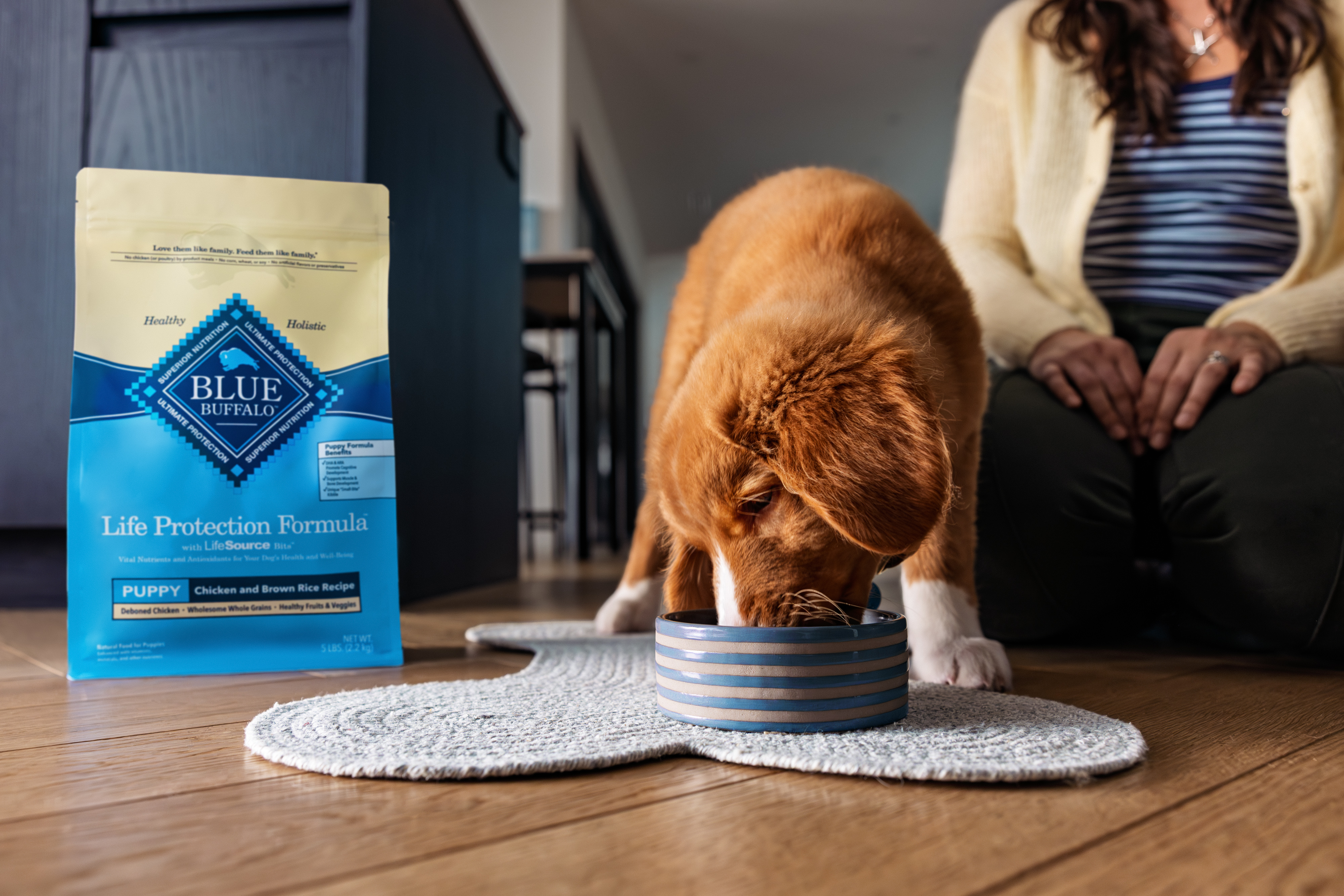 Brown and white puppy eating from striped bowl next to Blue Buffalo Life Protection Formula puppy food bag with woman sitting nearby