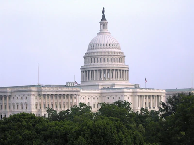 Proulain Us Capitol 1273914 1280