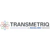 TransMetriQ logo featuring a colorful geometric flower symbol and company name with Railing brand tagline