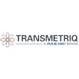 TransMetriQ logo featuring a colorful geometric flower symbol and company name with Railing brand tagline