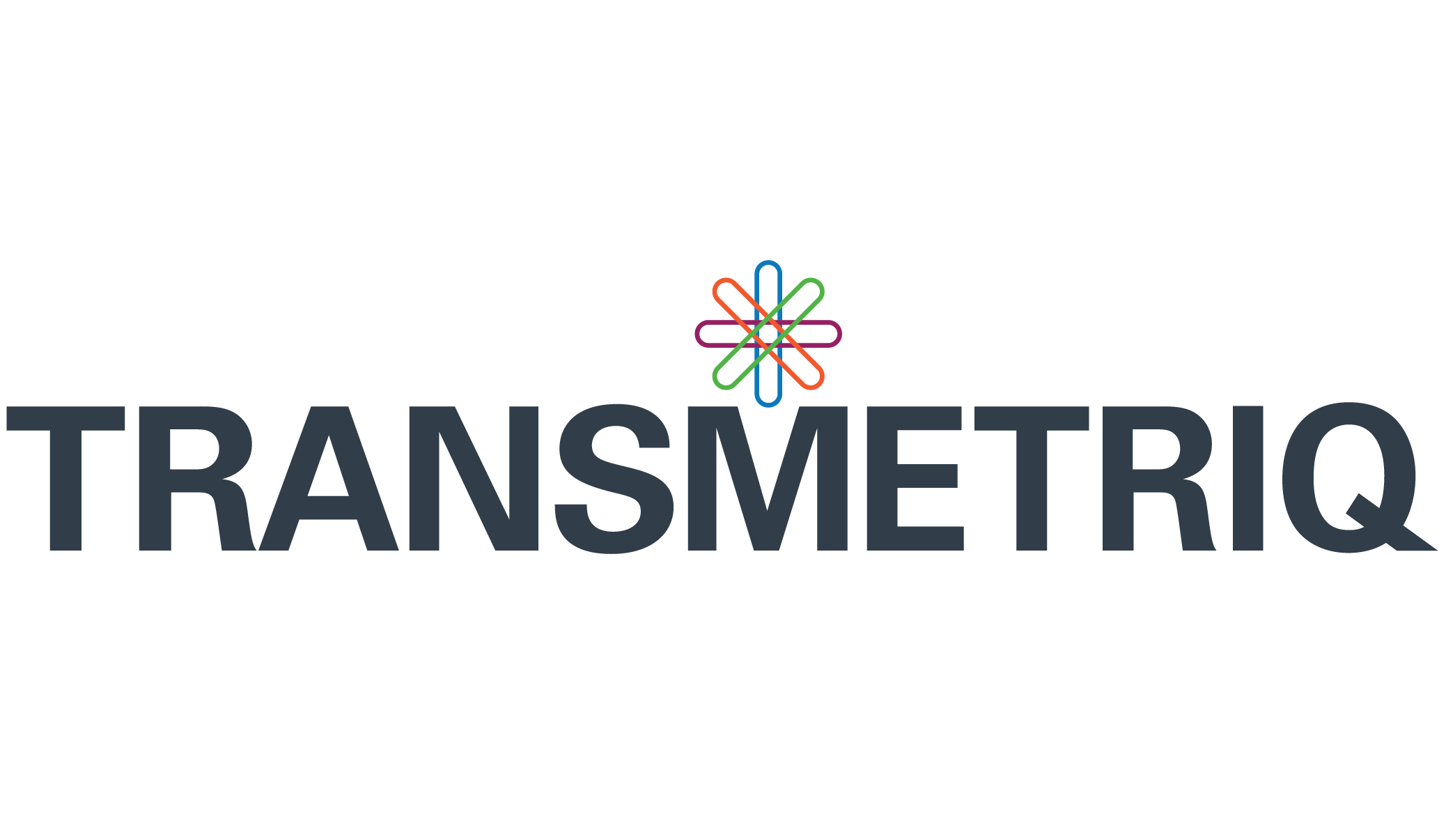 TRANSMETRIQ logo with colorful flower icon and dark blue text