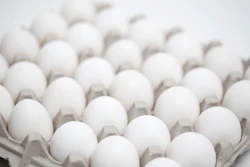 White eggs arranged in a gray cardboard egg carton with shallow depth of field